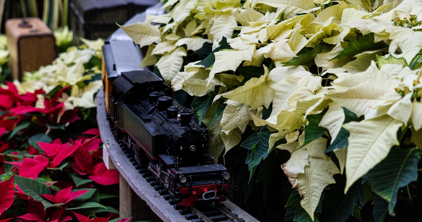 The History of Japanese Railway Modelling